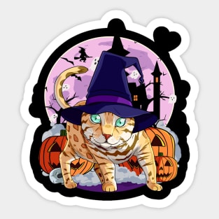 Bengal Cat Funny Halloween Witch Pumpkin Sticker